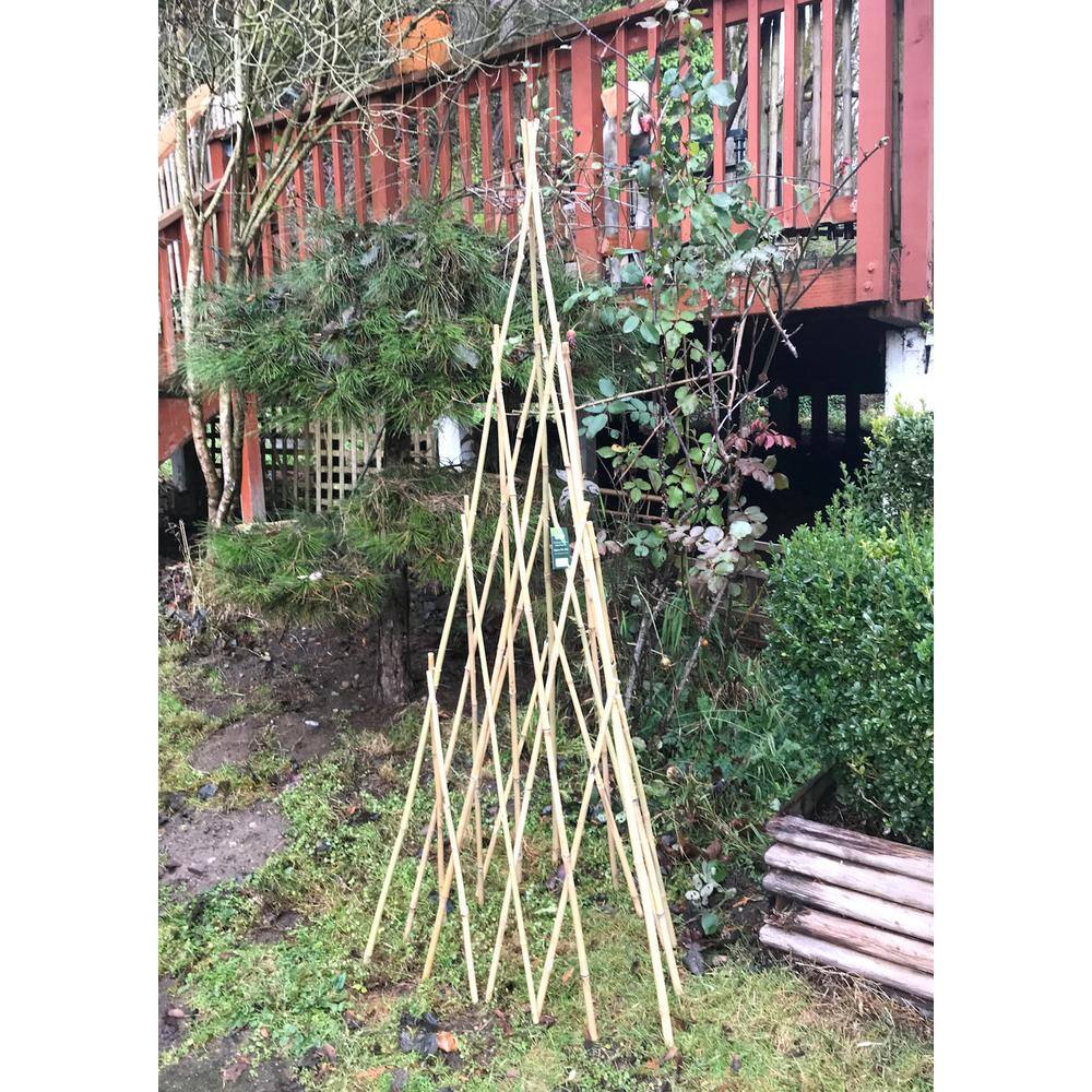 72 in. H Bamboo Teepee Trellis BT-72