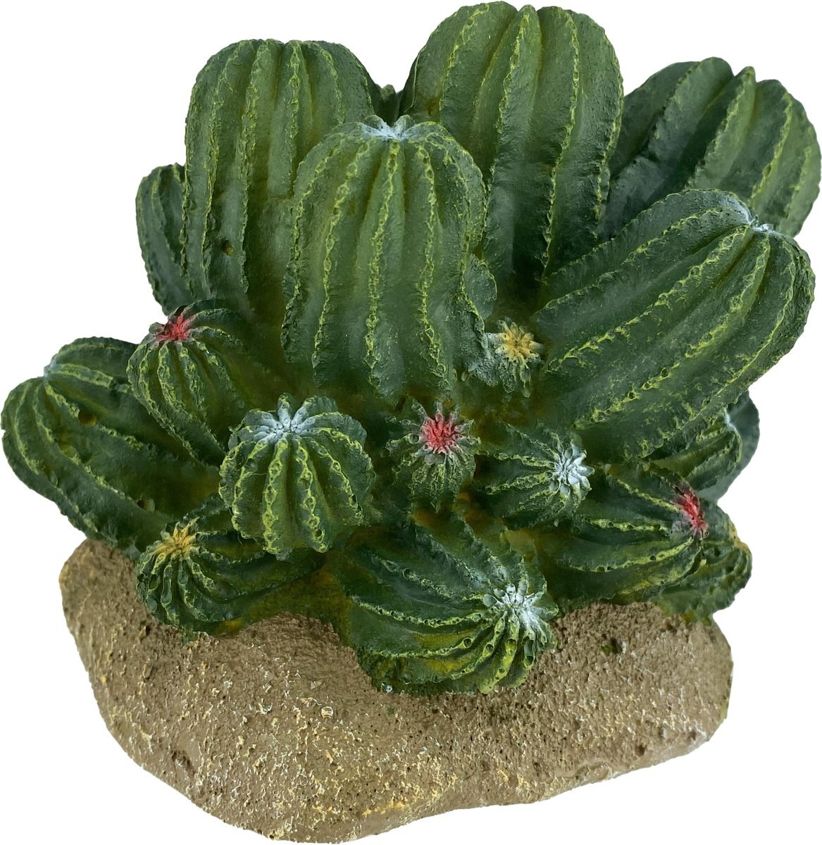 Komodo Cactus Barrel Reptile Ornament， Green