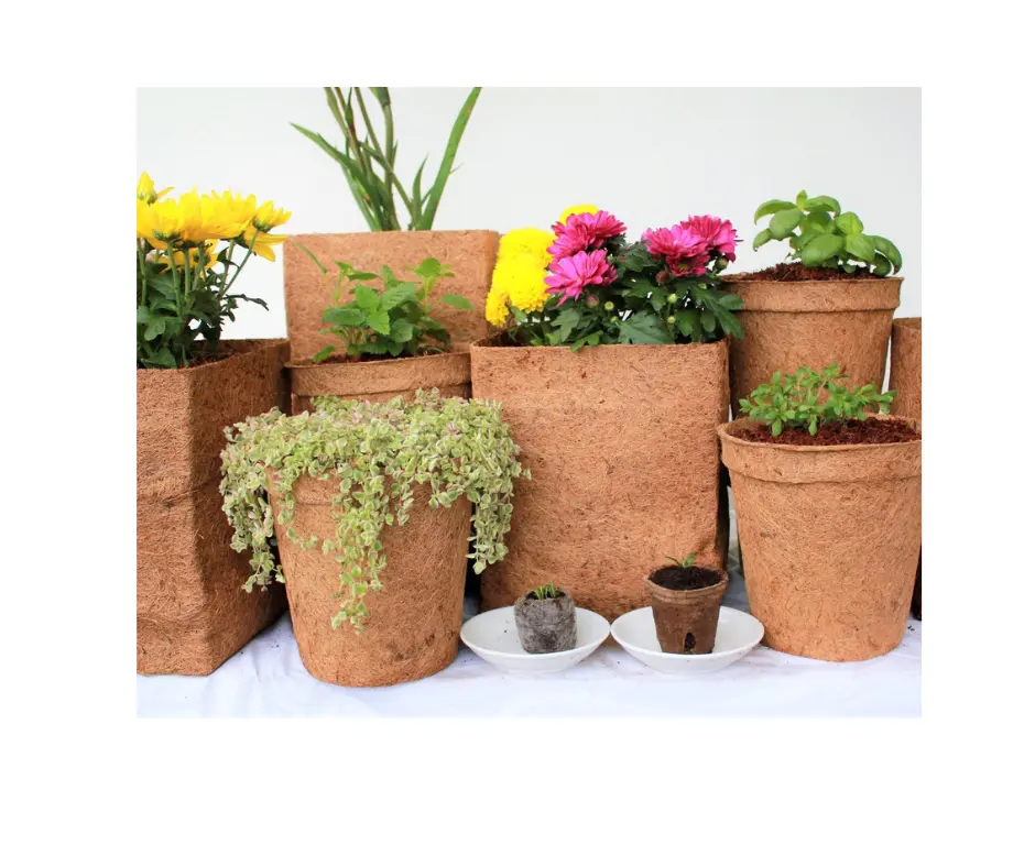 Wholesale Natural Coco flower pots   planters garden supplies in High Quality and Best Price From Vietnam