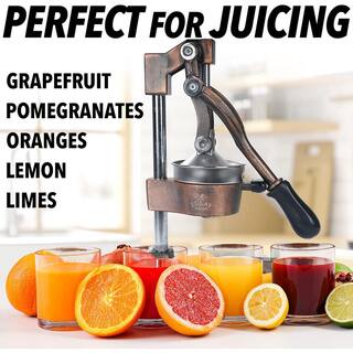 Zulay Kitchen Cast-Iron and Stainless Steel Copper Manual Citrus Juicer Z-CTRS-PRSS-CPPR