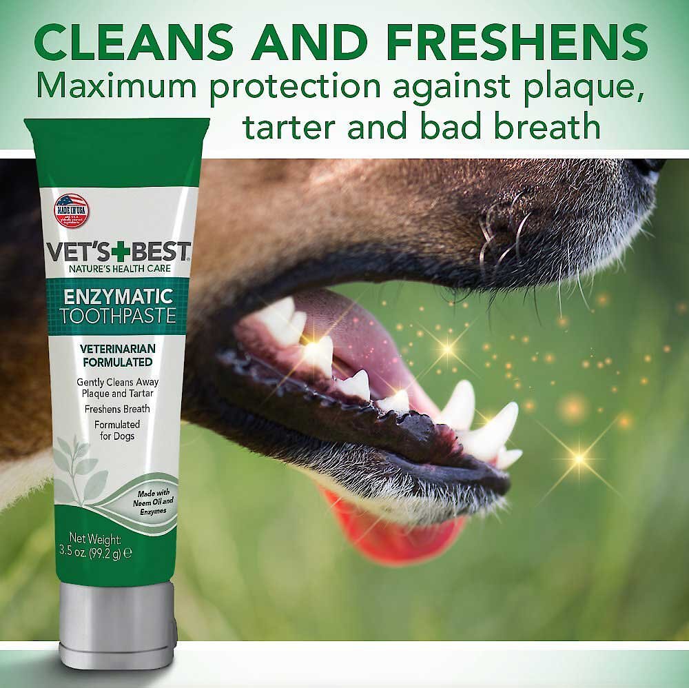 Vet's Best Enzymatic Dog Toothpaste