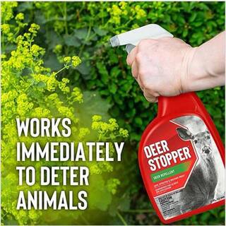 ANIMAL STOPPERS Deer Stopper II Animal Repellent Gallon Ready-to-Use with Nested Sprayer XD-U-128