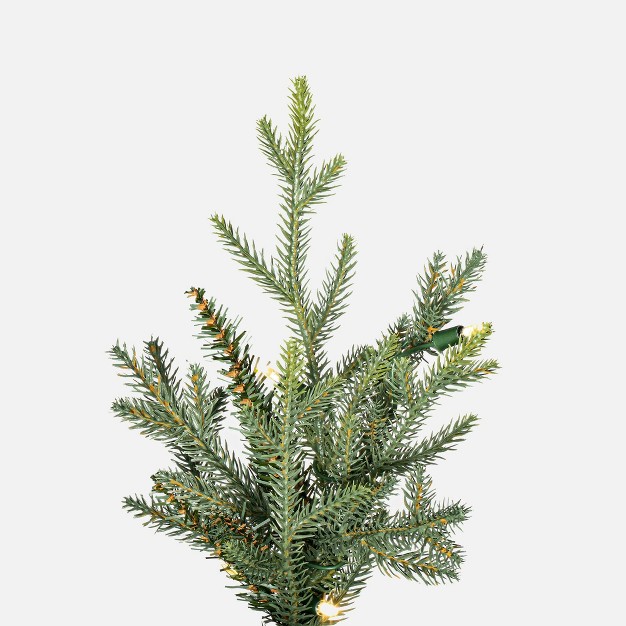 Bellevue Fraser Fir Artificial Christmas Tree With Warm White Mini Lights.