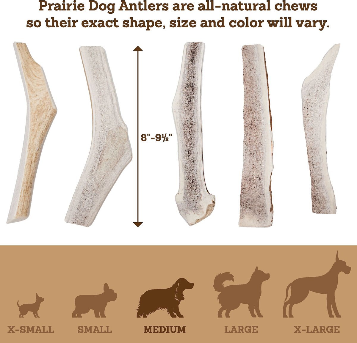 Prairie Dog Split Elk Antler Dog Chews