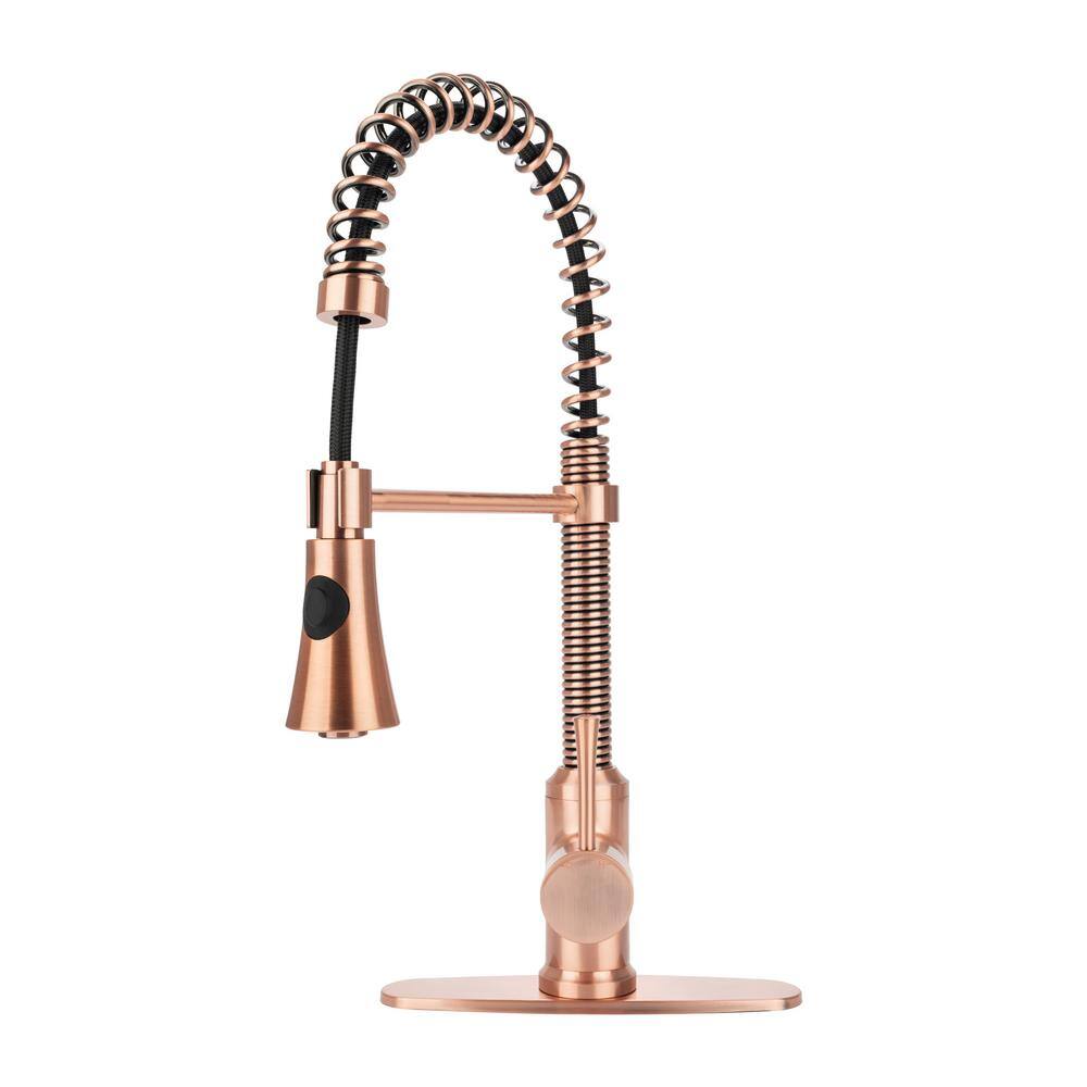 Fontaine by Italia Single-Handle 1 or 3 Hole Residential Pull-Down Sprayer Kitchen Faucet with 2-Spray Heads in Antique Copper N96565FC-DP-AC