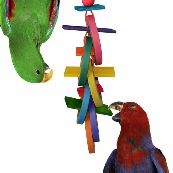 Super Bird Creations Olympic Rings Bird Toy， Large