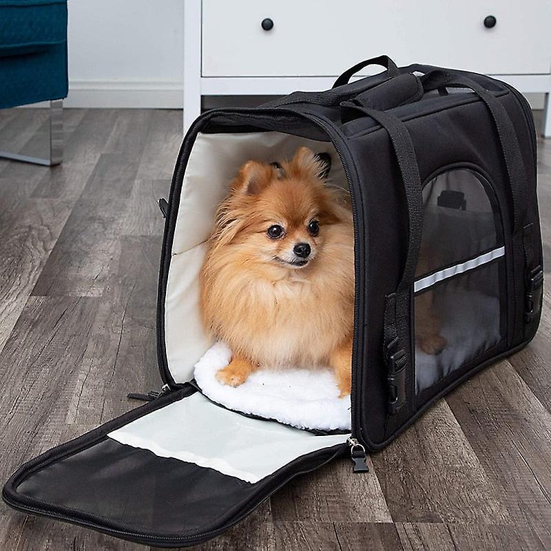 Waterproof mesh padded dog carrier