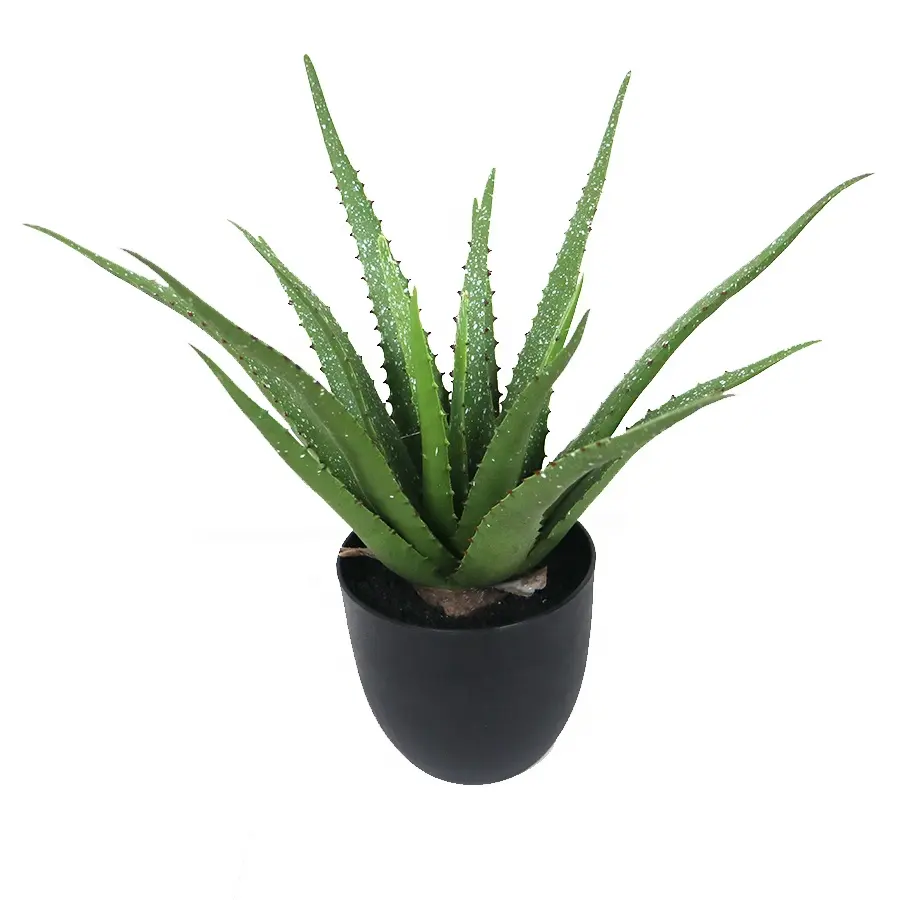 Supplies 50cm tall 17lvs real touch aloe plant