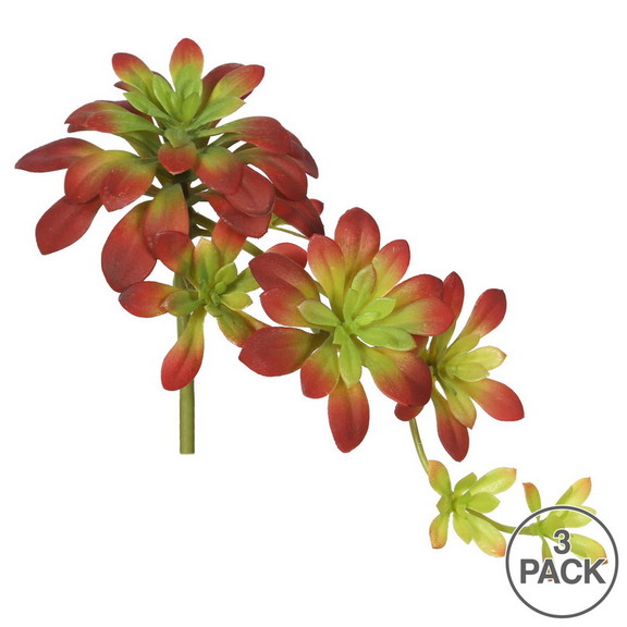 Vickerman FA170101 7 Atropurpureum Burgundy/Green...