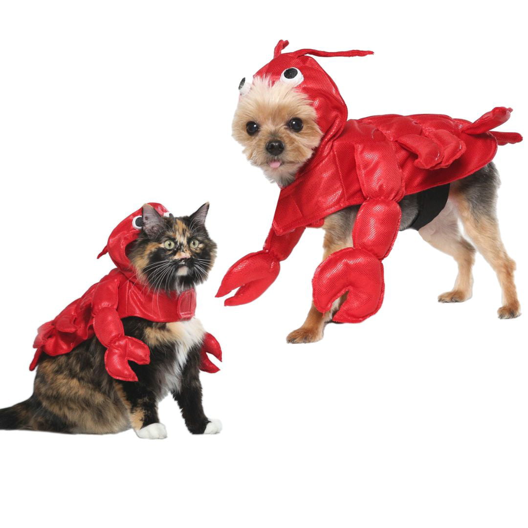 Vibrant Life Halloween Dog Costume and Cat Costume: Lobster， Size Small