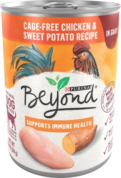 Purina Beyond Chicken and Sweet Potato Recipe in Gravy Canned Dog Food