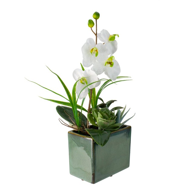 Orchid And Succulents Artificial Potted Flower Arrangement - Green/white