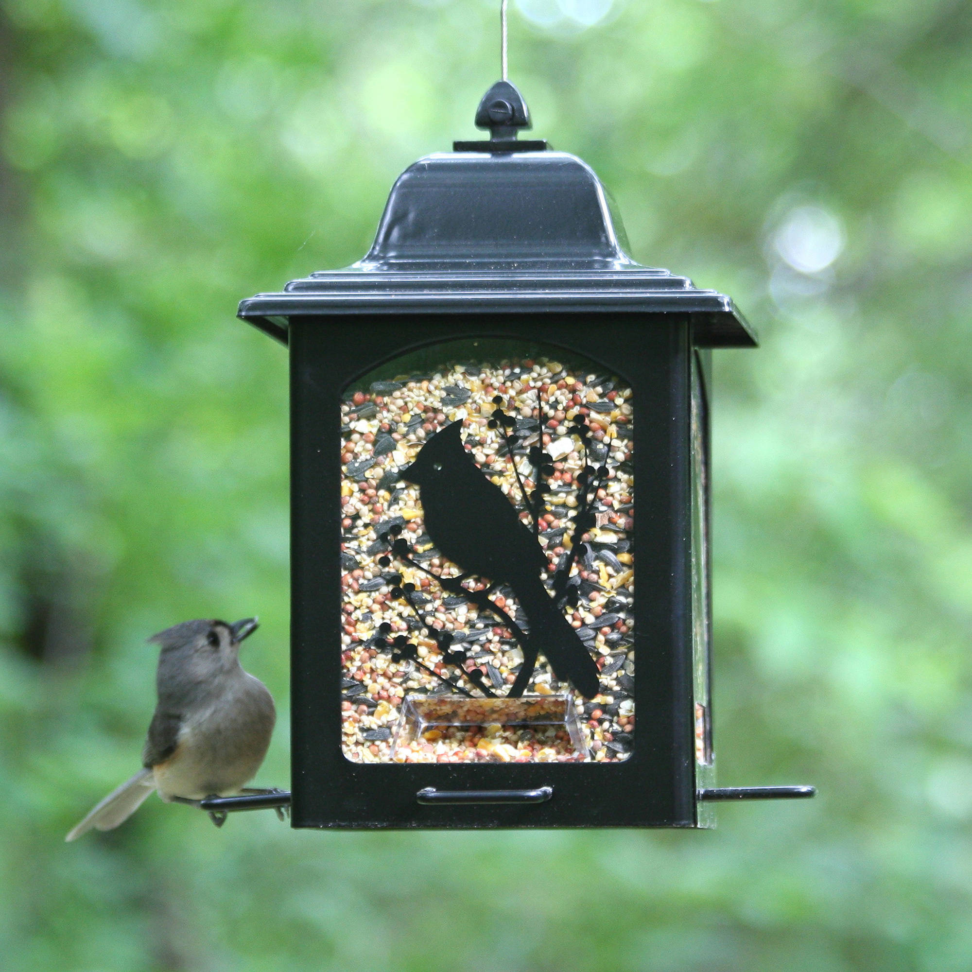 Perky-Pet Birds and Berries Lantern Feeder