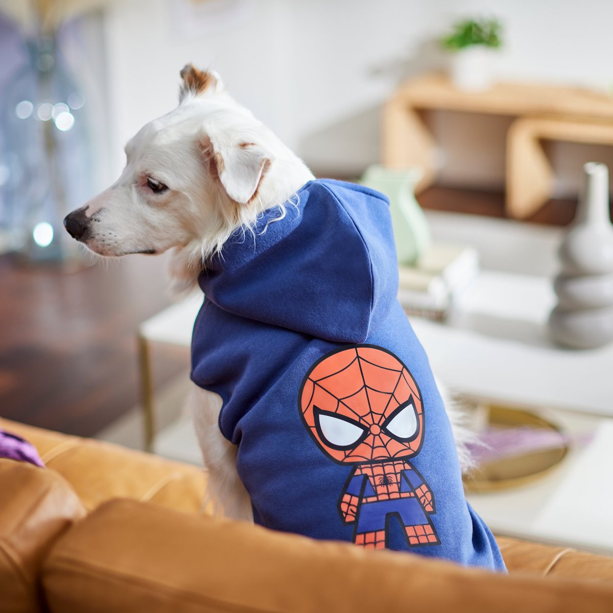 Marvel 's Spider-Man Dog and Cat Hoodie