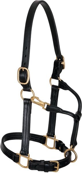 Weaver Leather Track Horse Halter， 1-in