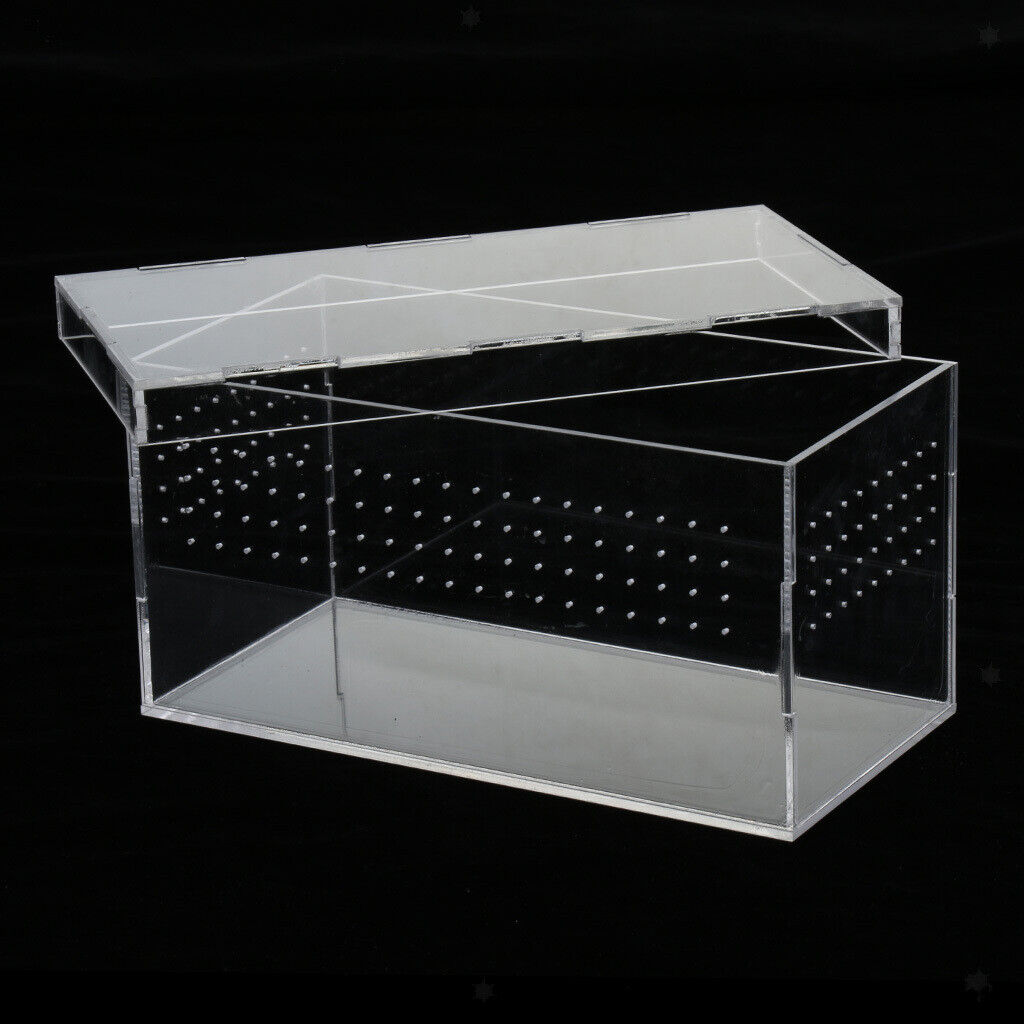 Clear Acrylic Pet Reptile Holder Terrarium Habitat Breeding Box Turtle Tank Cage