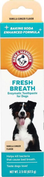 Arm and Hammer Fresh Breath Vanilla-Ginger Flavored Enzymatic Dog Toothpaste