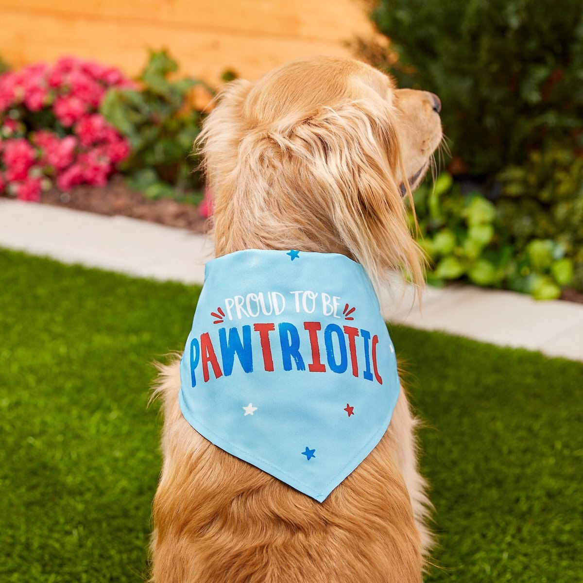 Frisco Pawtriot Dog and Cat Bandana