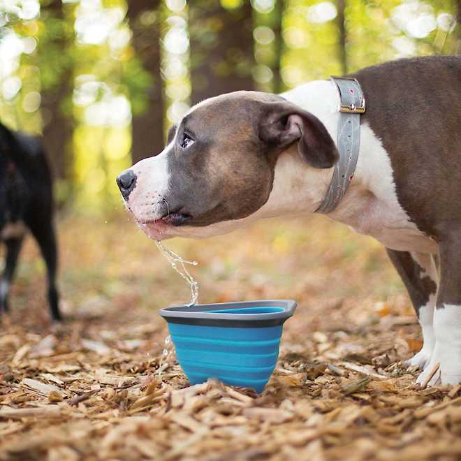 Kurgo Mash N Stash Collapsible Dog Bowl