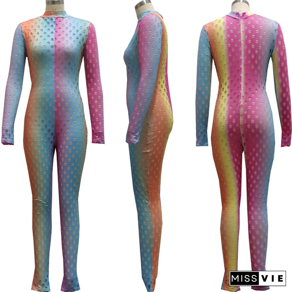 Women Spring Jacquard Knitted Long Sleeve Back Zipper Casual Fitness Bodycon Jumpsuit