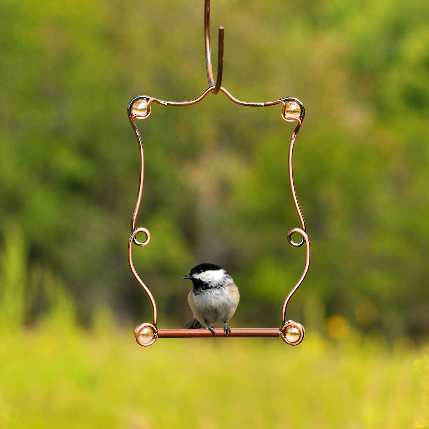 Perky-Pet 7.25 in. H X 5 in. W Hummingbird Swing