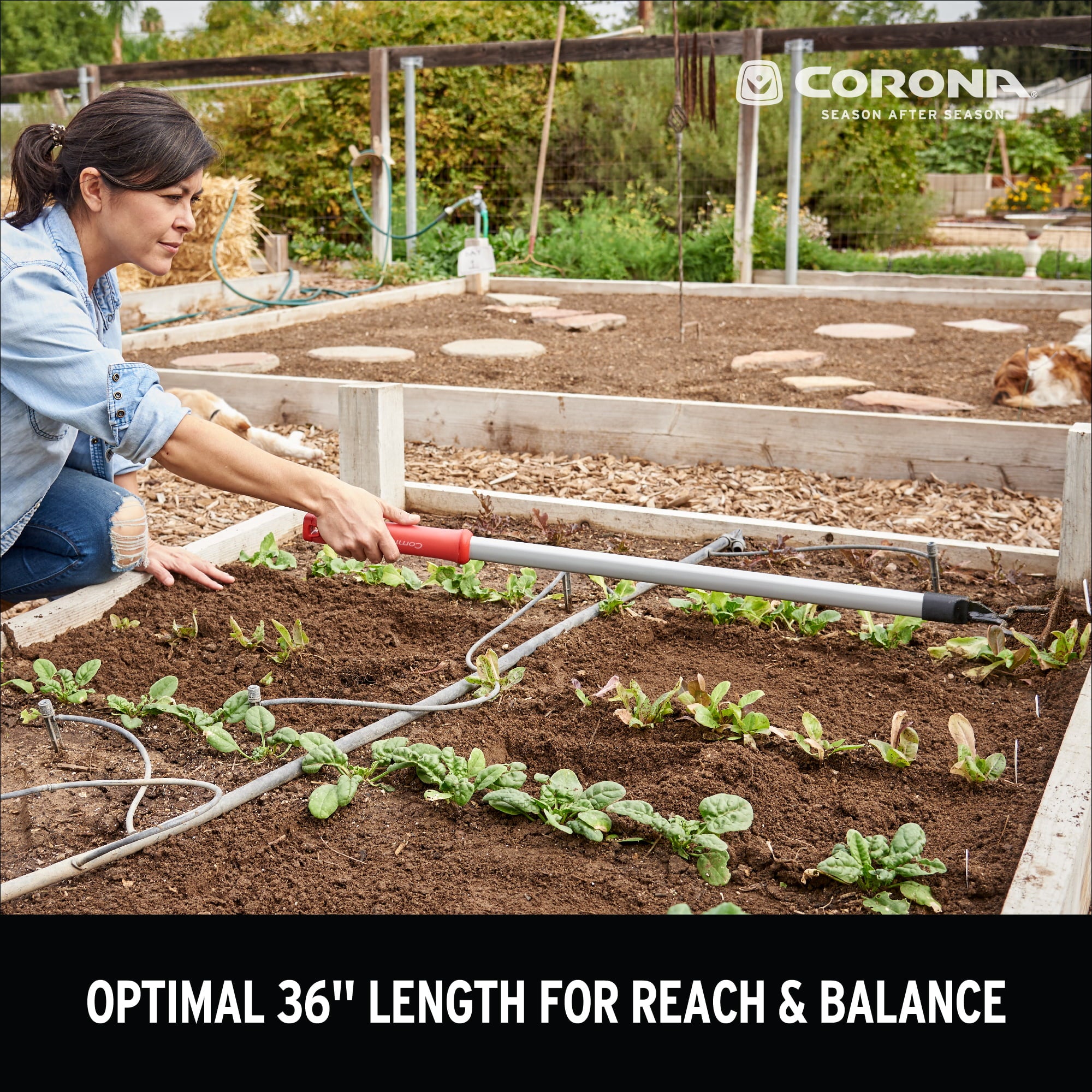 Corona Extended REACH 7-Tine Raised Bed Garden Rake with ComfortGEL Grip