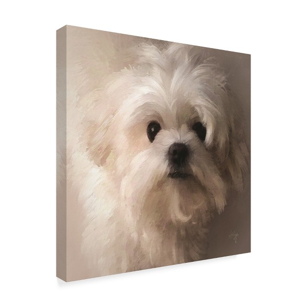 Trademark Fine Art lois Bryan x27 maltese Puppy Portrait x27 Canvas Art