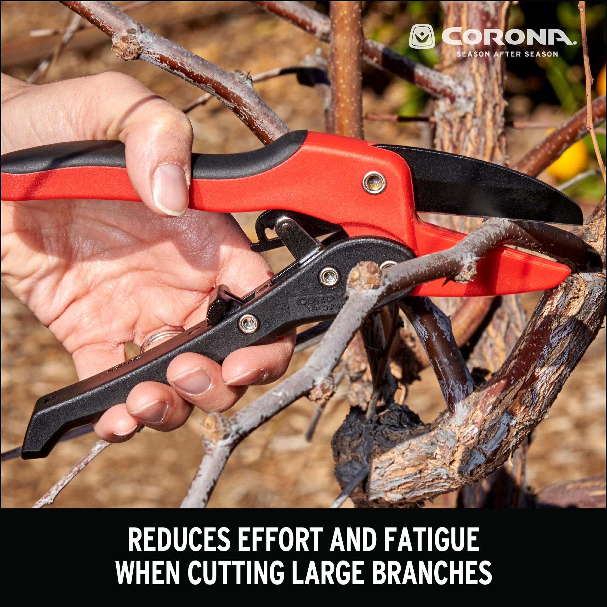 Corona RP3230 3/4" Ratchet Anvil Pruning Shears