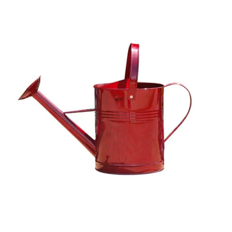 Customized vintage Red Finished Metal Watering Can Handmade Garden Irrigation Watering Can Metal leak Proof Watering Can