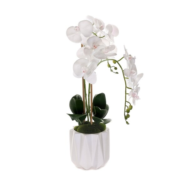 Real Touch Phalaenopsis Orchids in White Dimensional Pot