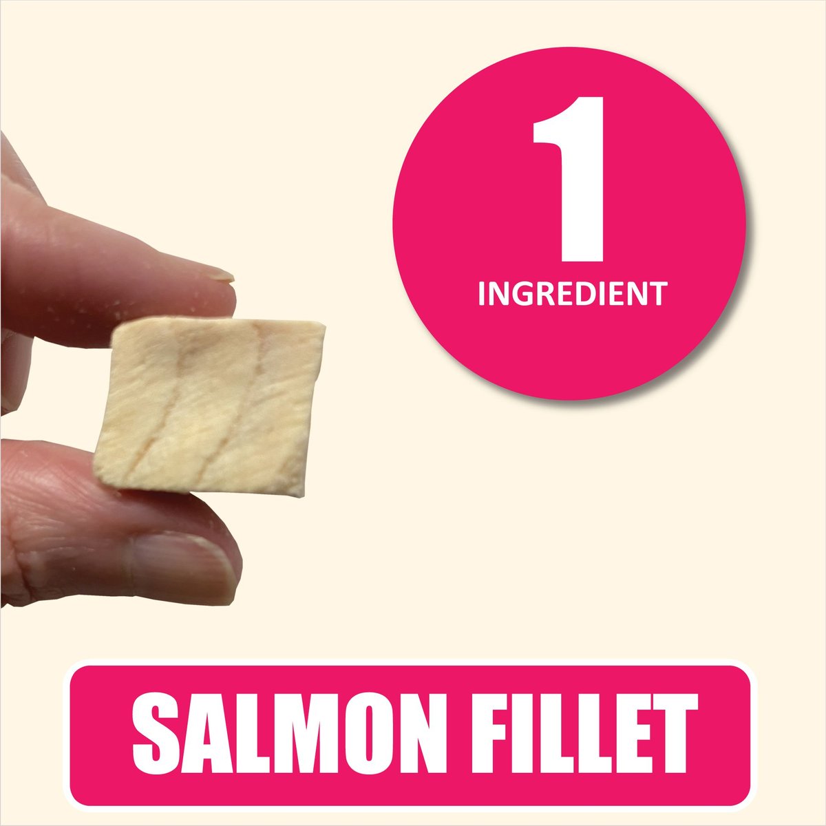 Whole Life Just One Ingredient Pure Salmon Fillet Freeze-Dried Dog Treats