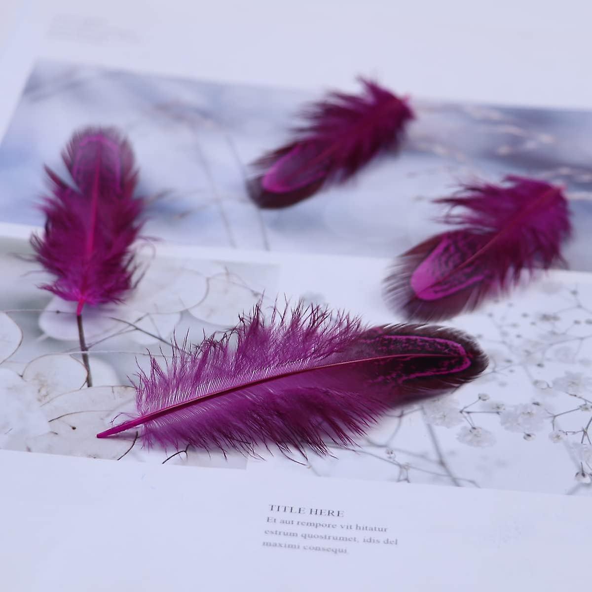 100 Pcs 2-3 Inch Rose Red Pheasant Feathers Bulk Various Colors Natural Feather Crafts Clothing Hat Sewing Decorating