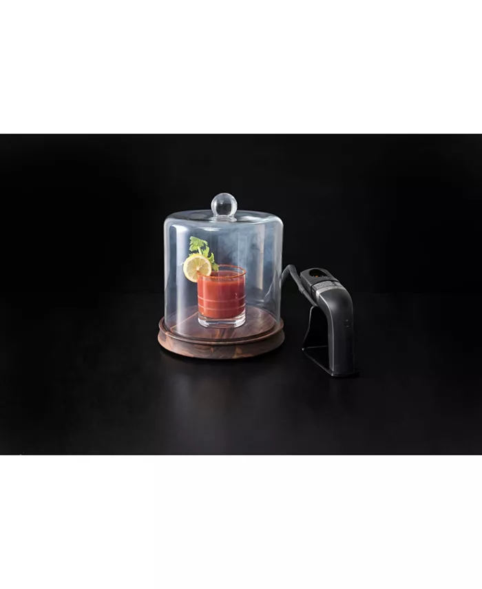 Fortessa Crafthouse Glass Smoking Cloche with Handheld Smoker and Chips