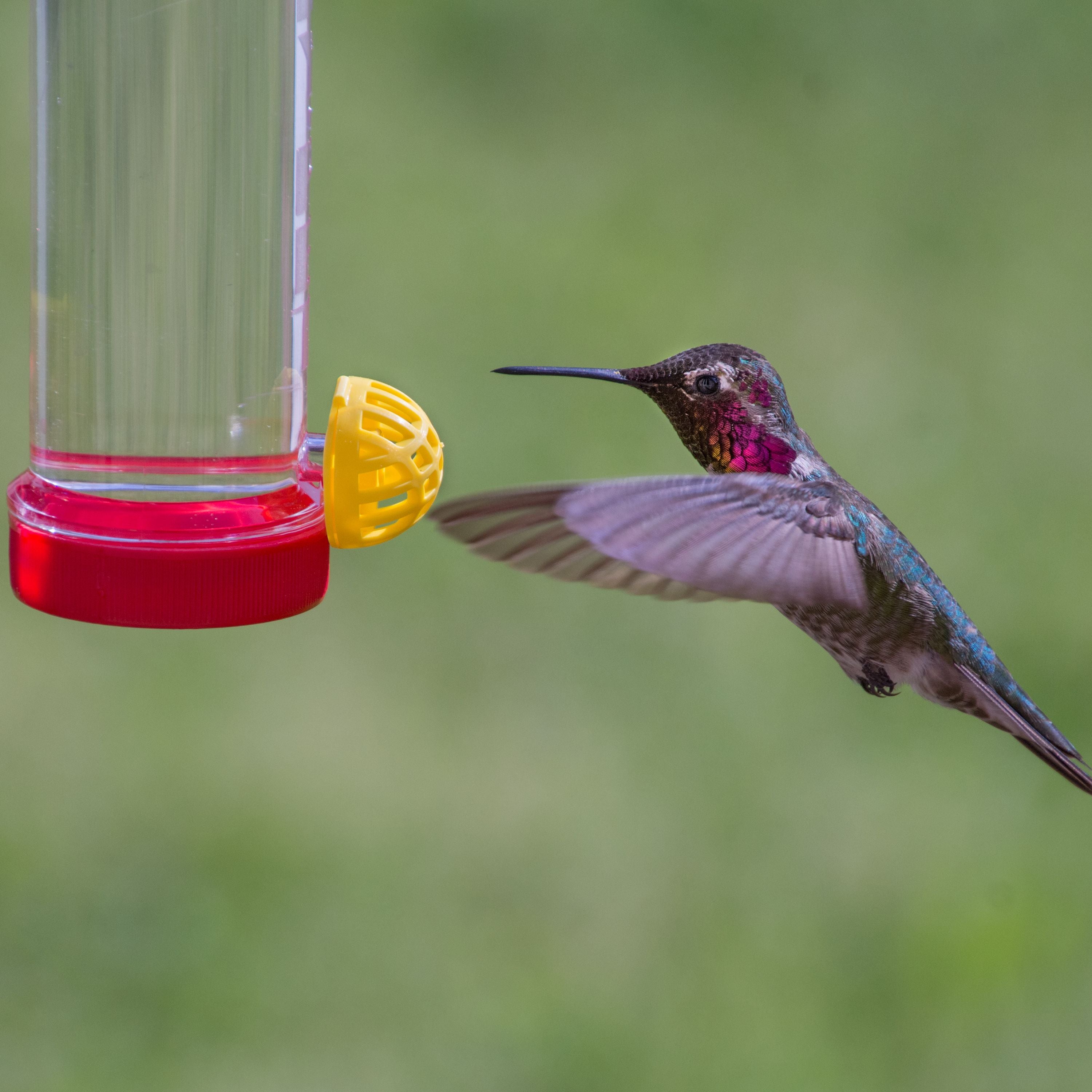 Perky-Pet Planter Box 3 oz Plastic Hummingbird Feeder with Hanging Rod