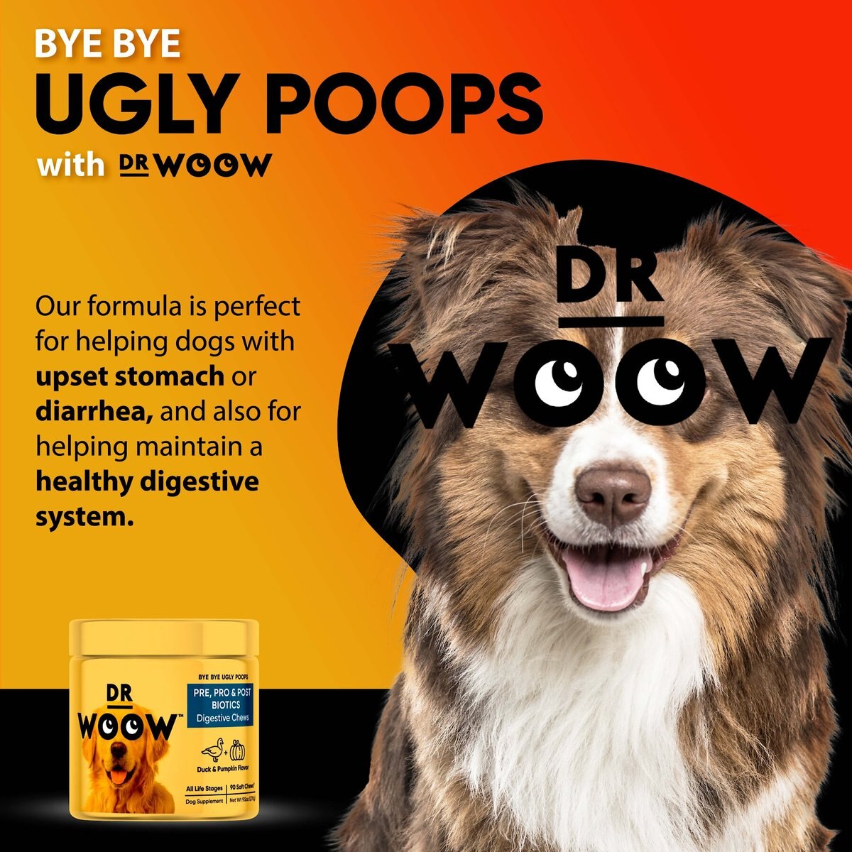 Dr Woow Pre， Pro and Post Biotics Duck and Pumpkin Flavor Soft Chew Digestion Supplement for Dogs， 90 count