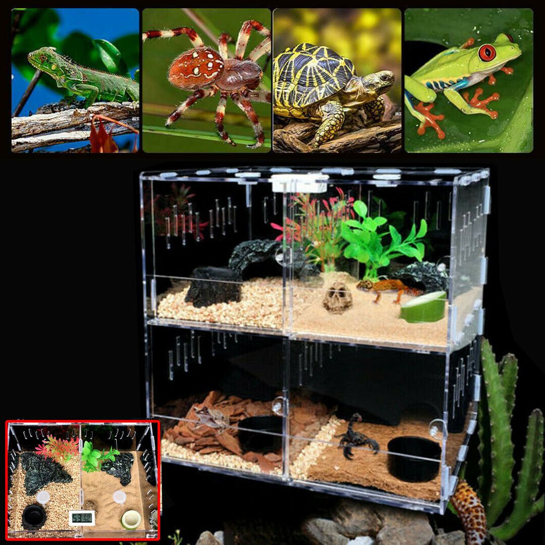 4 Grids Acrylic Reptile Terrarium Lizard Cage Enclosure Box Tank Climbing Pet Box Spider Snake Display，Clear Gift