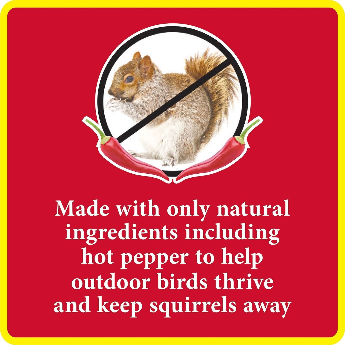 Better Bird Squirrel Away Bird Food， 5-lb bag