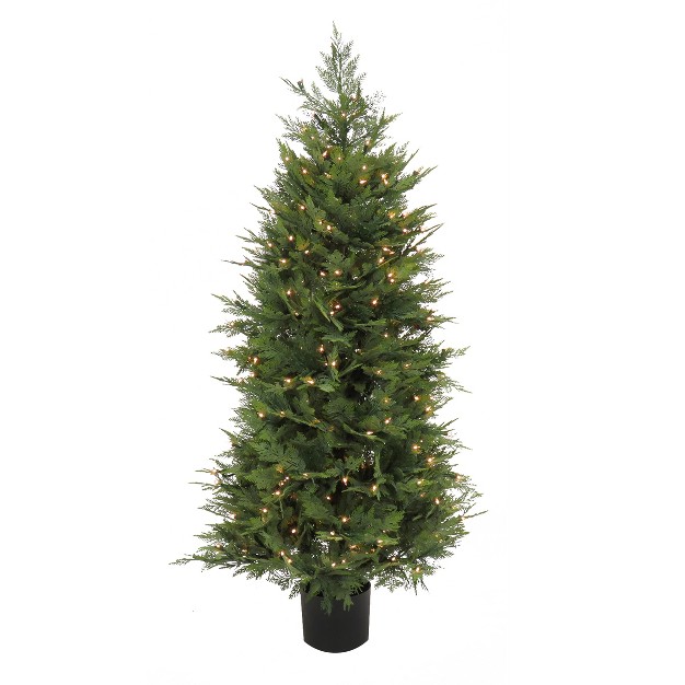 5' Prelit Artificial Cypress Tree Clear Lights - National Tree Company