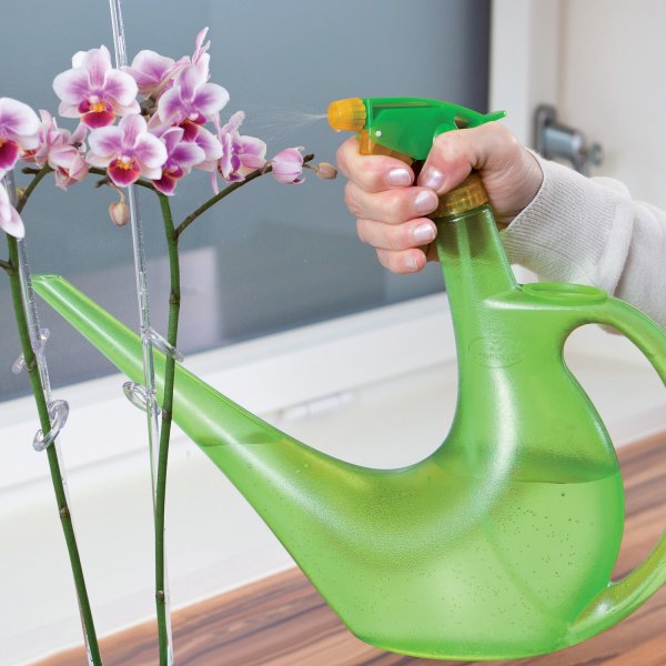 Scheurich Usa 50449 Watering Can / Spray Bottle in 1, Green, 40-oz.