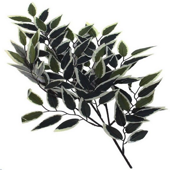 Vickerman Variegated Smilax Extra Full