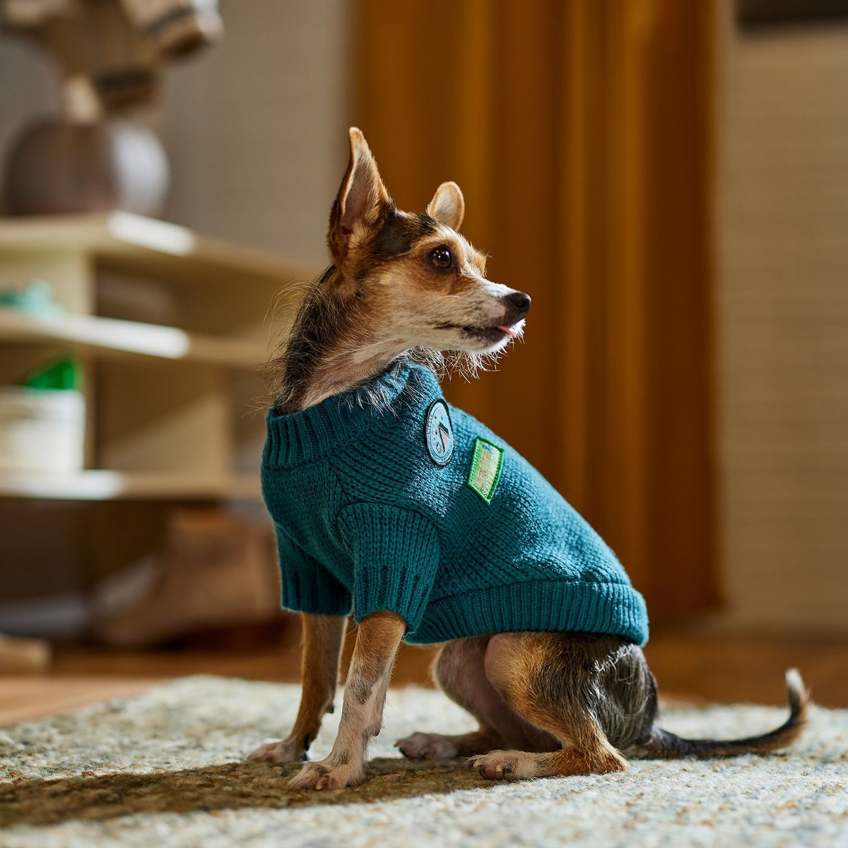 Frisco Teal Button Down Dog and Cat Sweater