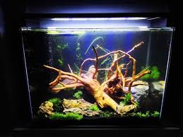 Aquarium Hardscape: SpiderWood (Small 6-10 Inches)