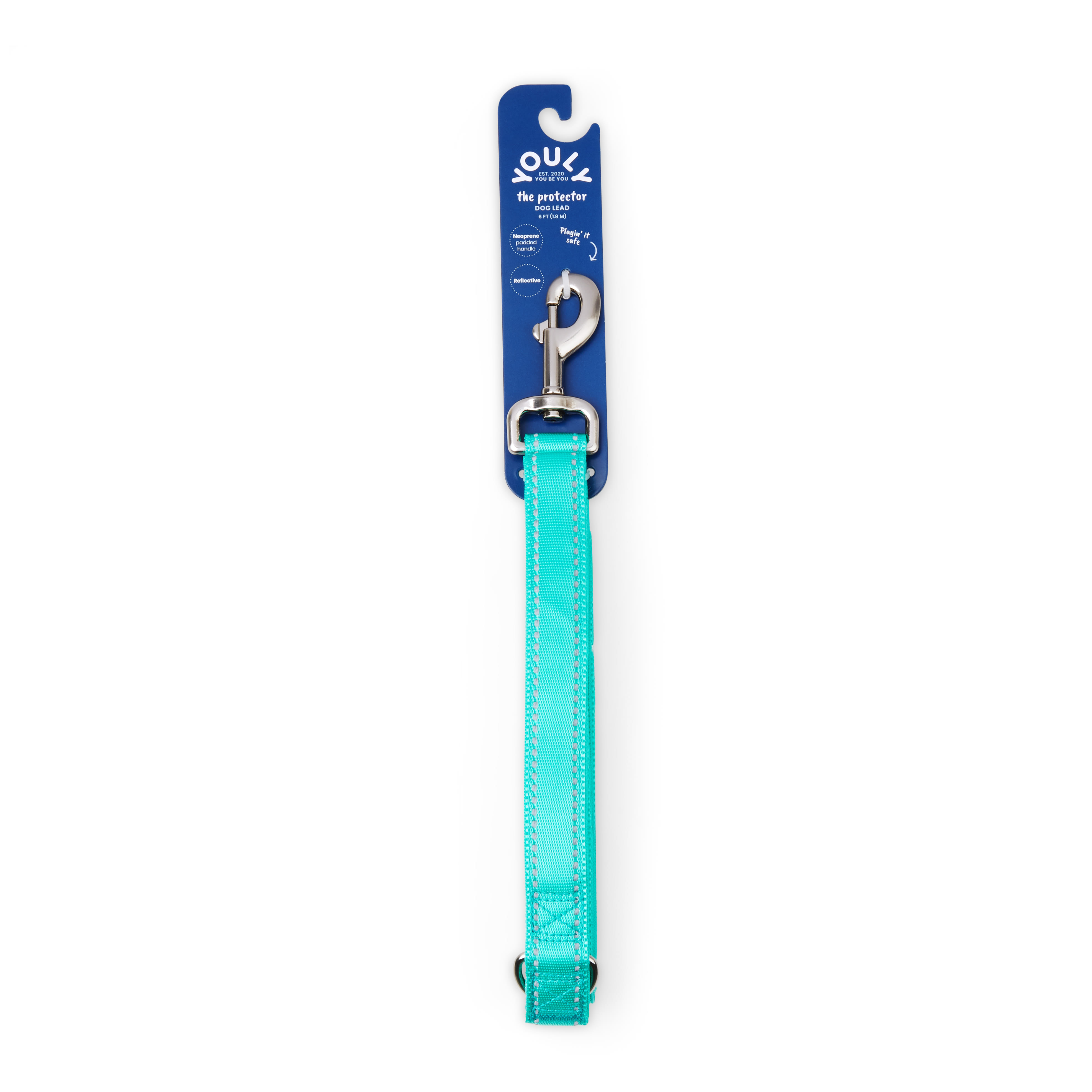 YOULY Reflective Padded Dog Leash in Turquoise， 6 ft.