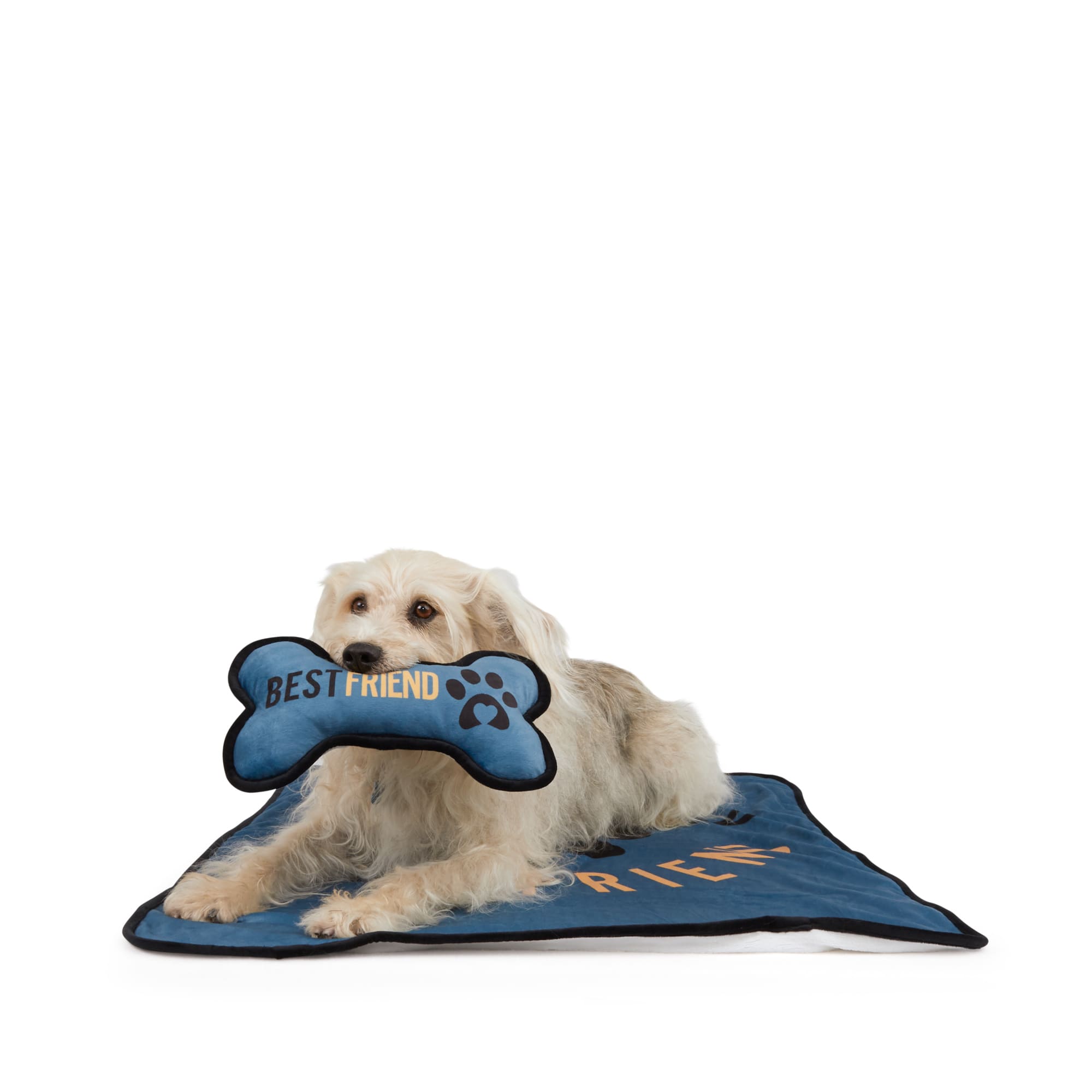 BOBS from Skechers Throw and Bone Pillow Set for Dogs