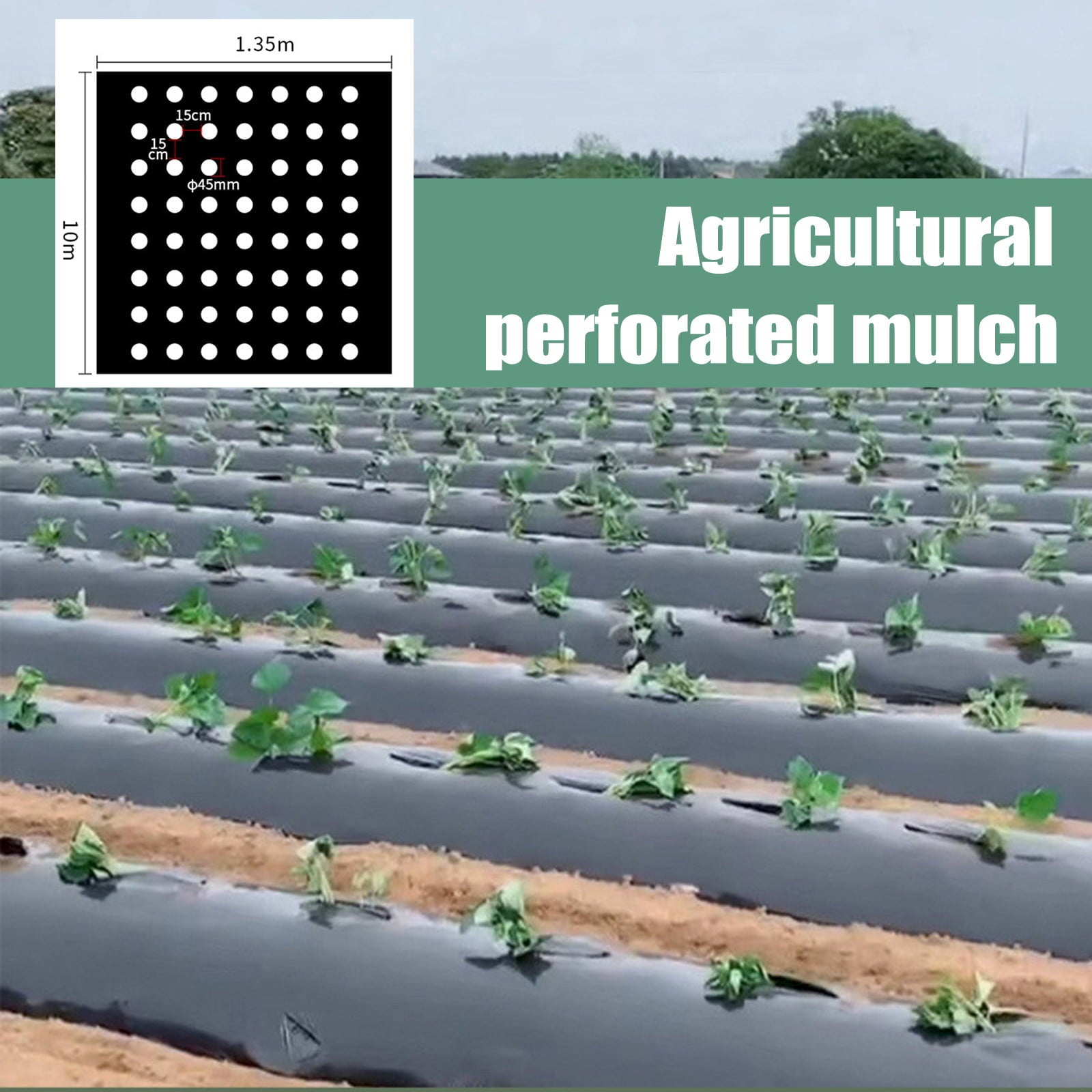 Perforated Mulch PE Agricultural Insulation Perforated Film