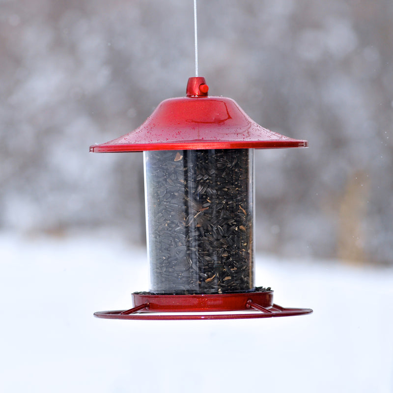 RED PANORAMA FEEDER