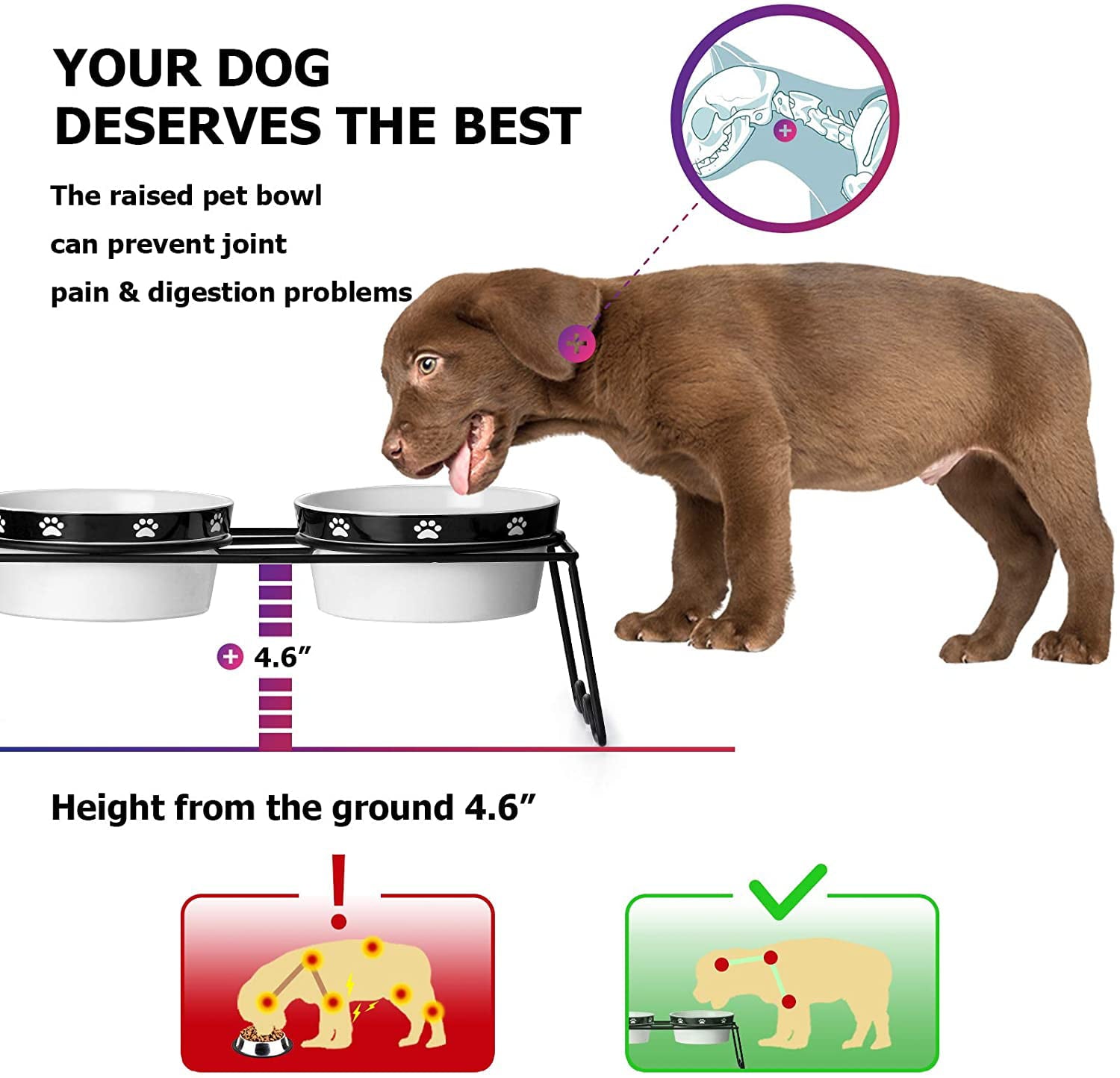 Y YHY Raised Dog Bowls, Elevated Dog Bowls 24oz, Ceramic Dog Cat Bowls for Food and Water, Pet Bowls for Dogs and Cat, Prevent Neck Pain, Anti Slip Feet