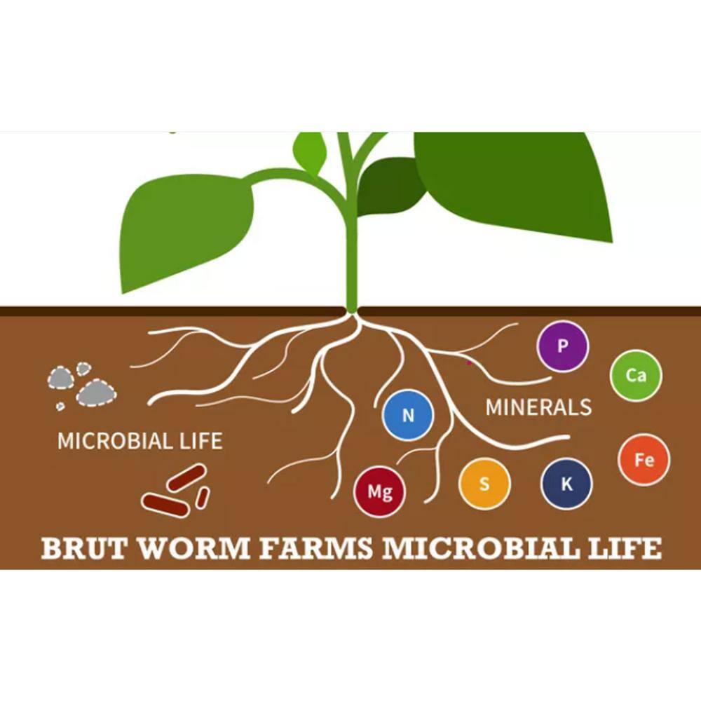 Brut Worm Farms Organic Worm Castings Soil Builder 30 lbs. Bag (6-Pack) 6 x IC-PNPE-MSK3