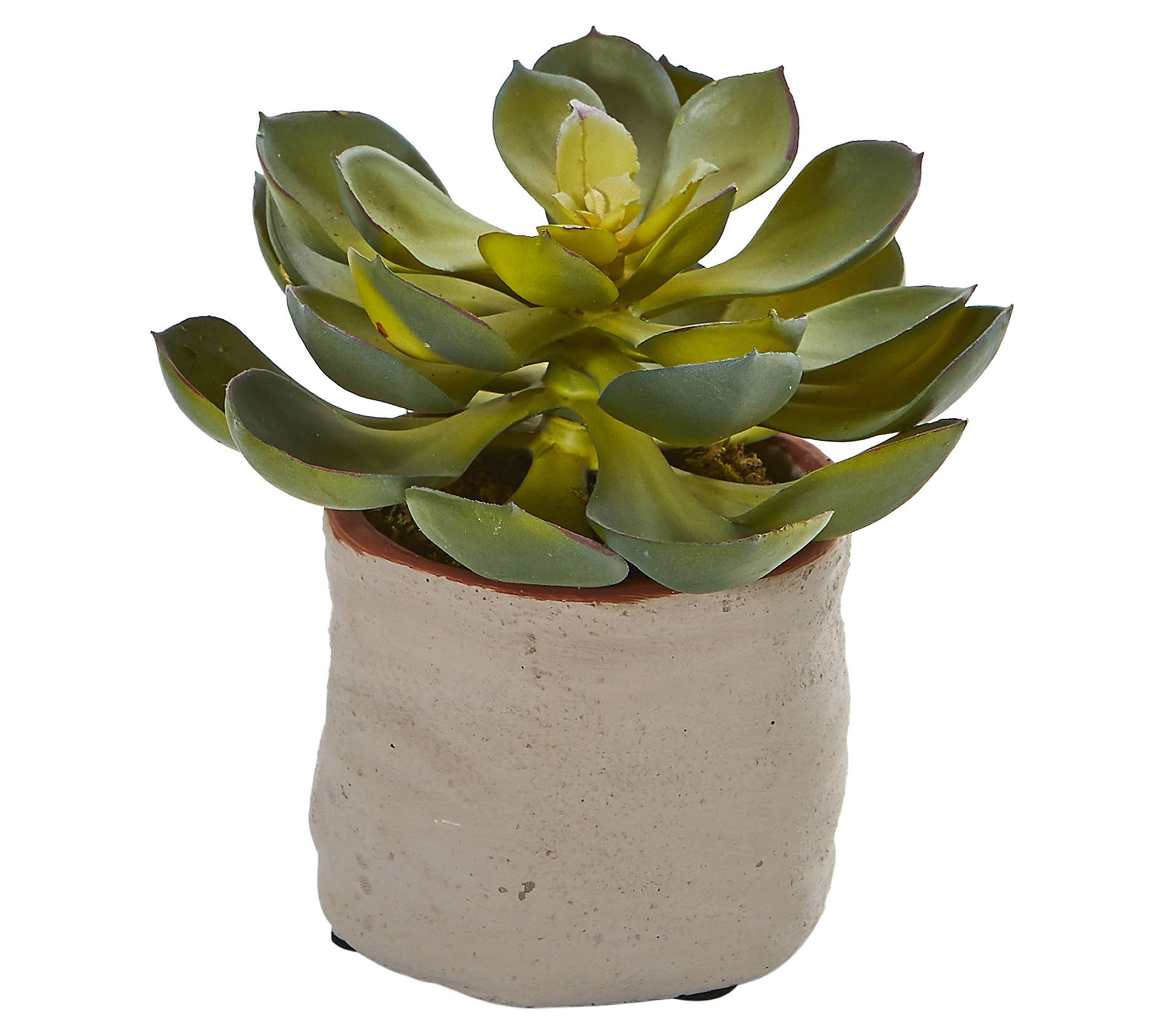 Mixed Succulent Lifelike Plant by Nearly Natural - Set of 4