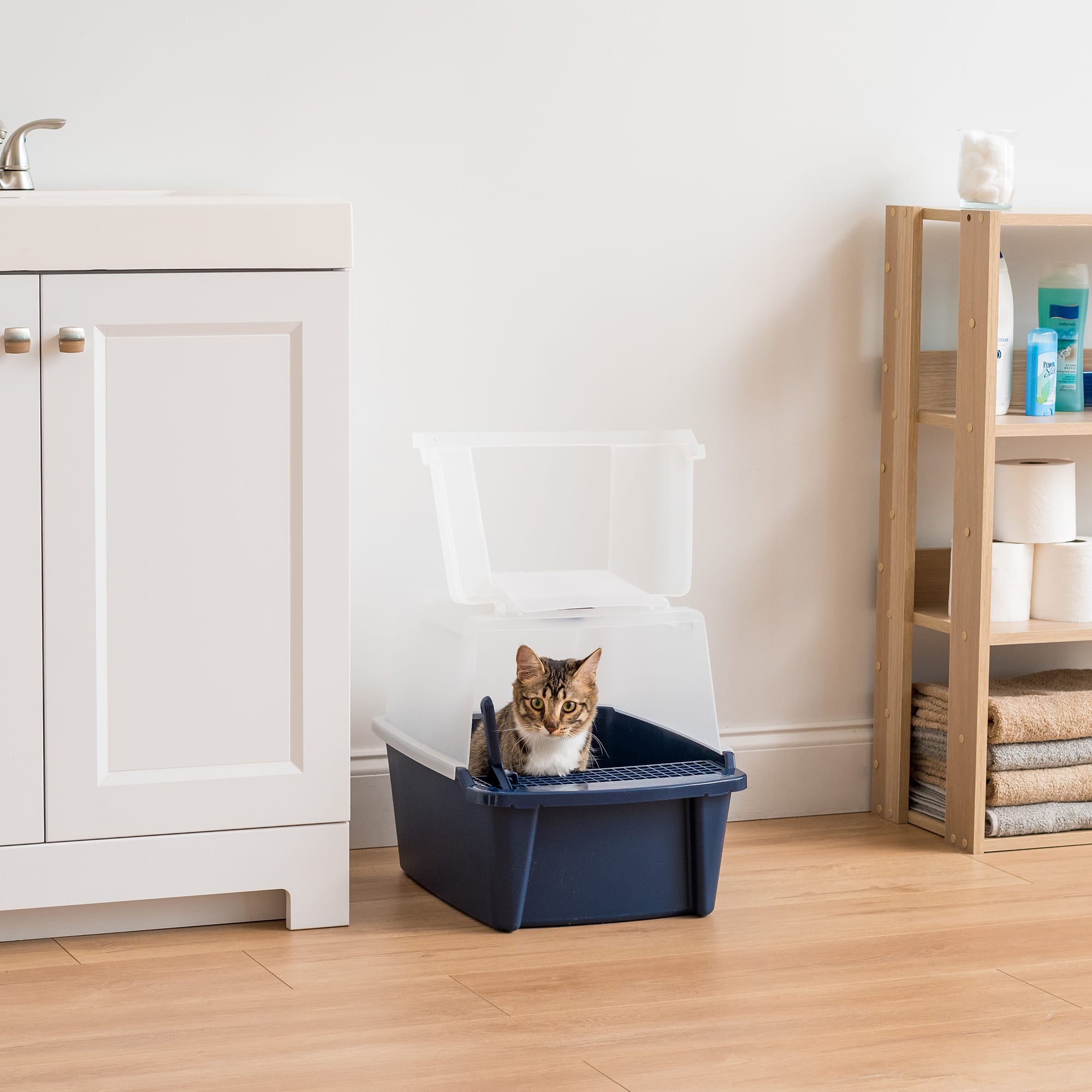 Iris Blue Split-Hood Cat Litter Box with Scoop and Grate